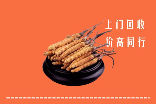 收购行情：铜陵市郊区冬虫夏草回收多少钱每克
